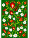 Pocztówka podhalańskie kwiaty w zieleni